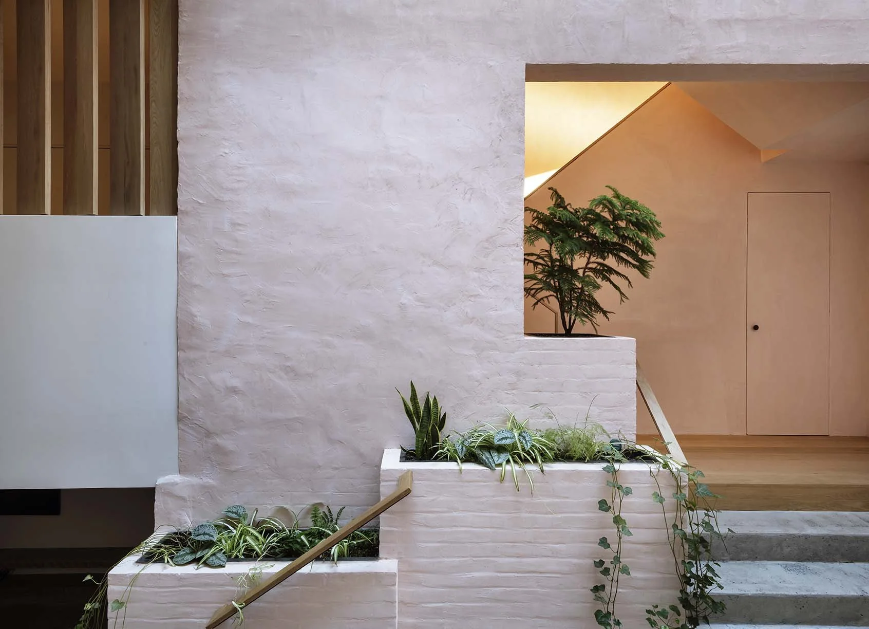 with Bowerbird Architects