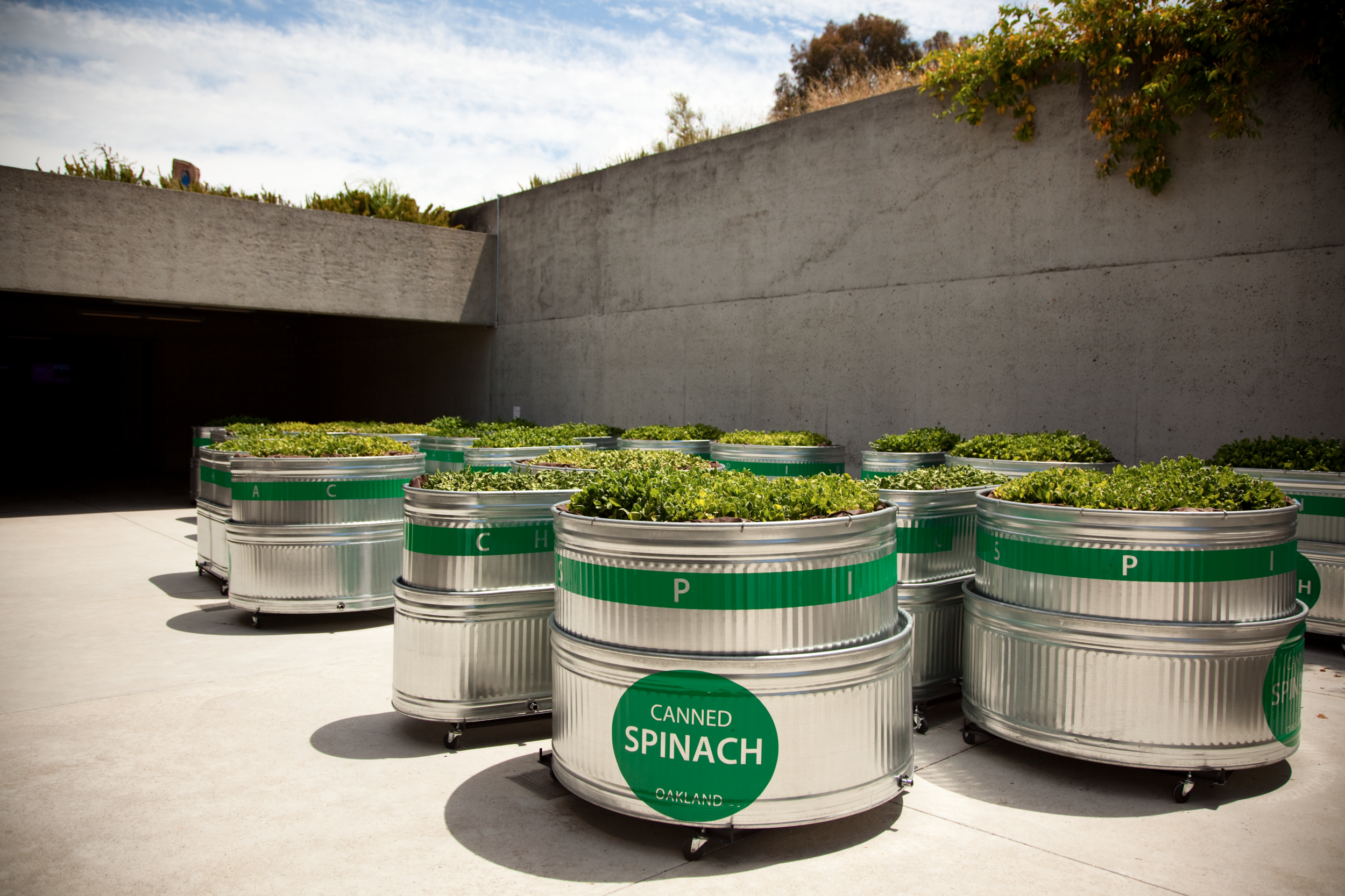  CANNED SPINACH  Oakland, CA   