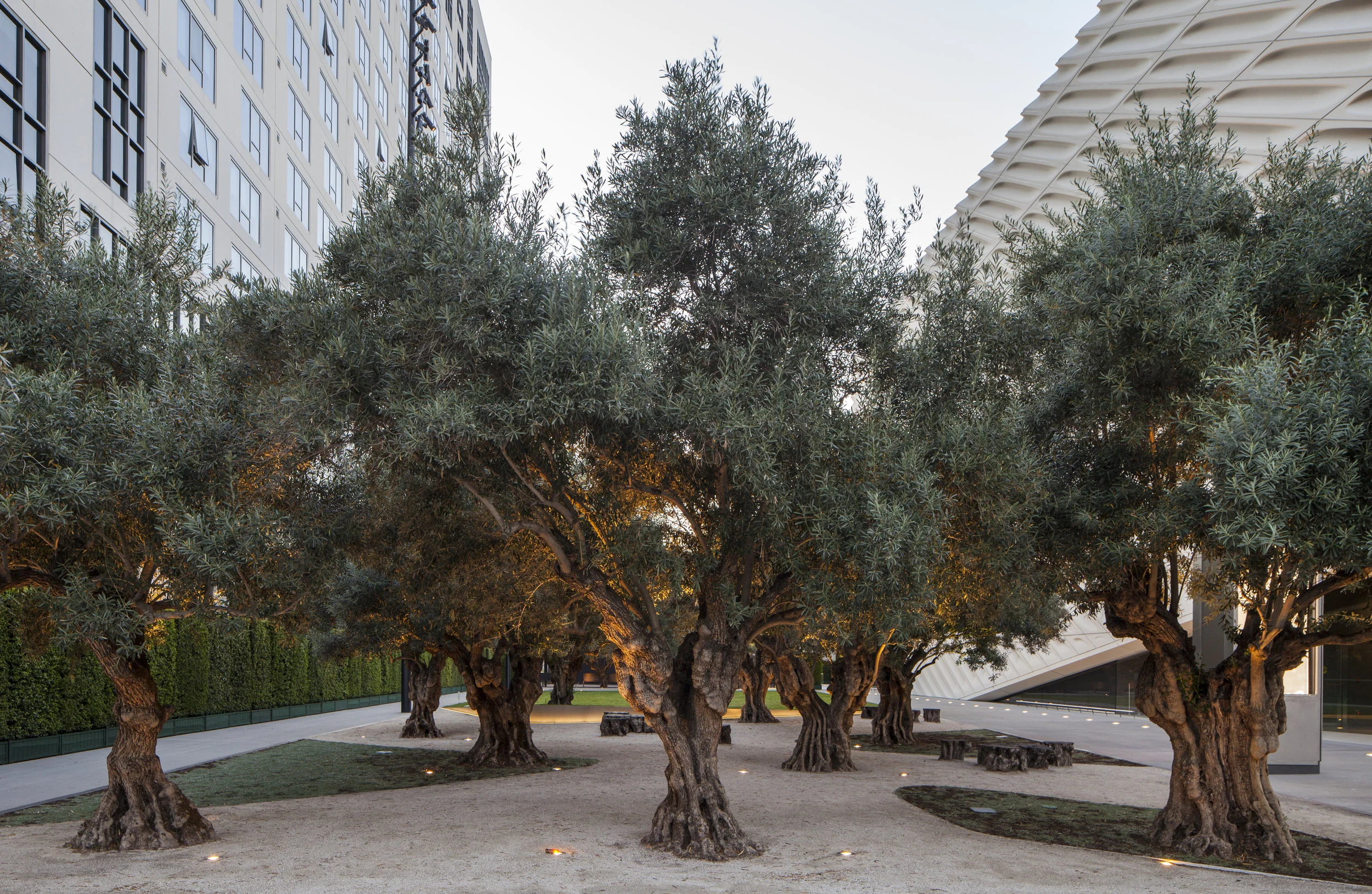 20150916_Broad_LA_0770.jpg