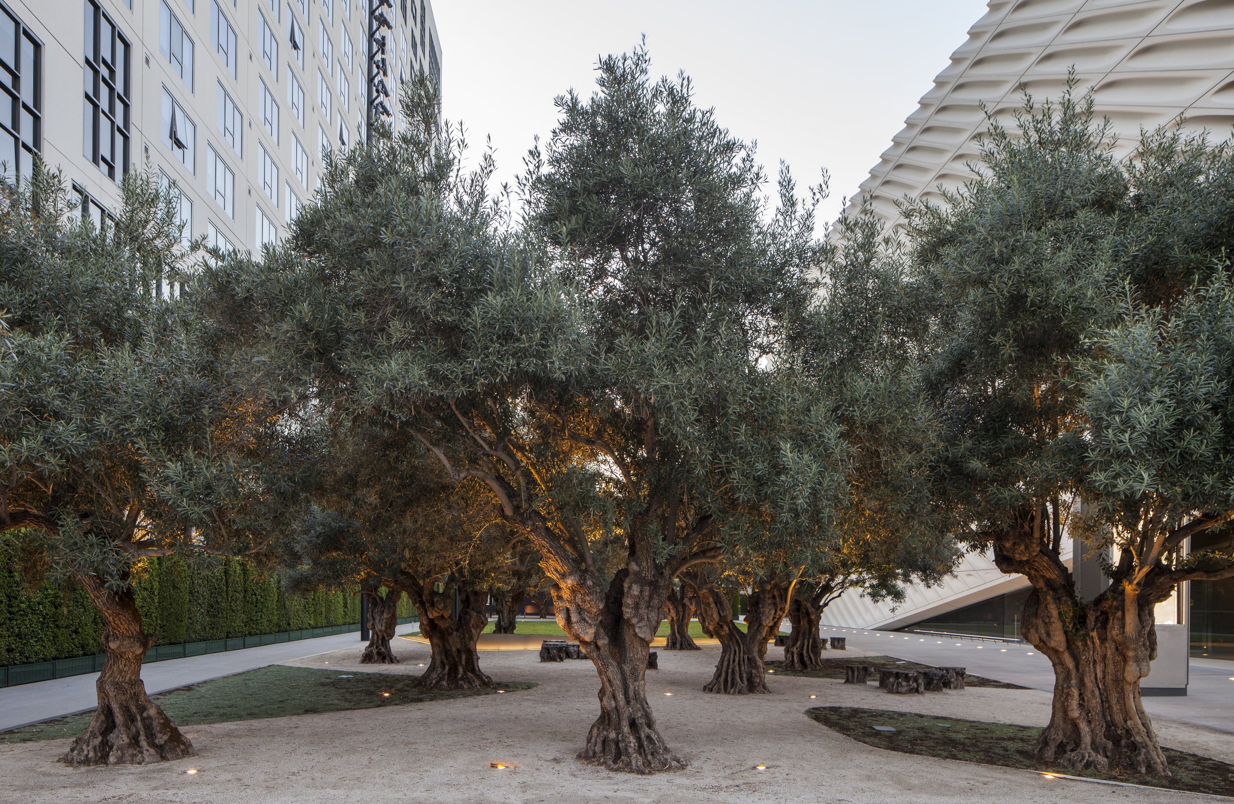 &lt;strong&gt;Broad Museum Plaza&lt;/strong&gt;Los Angeles, CA