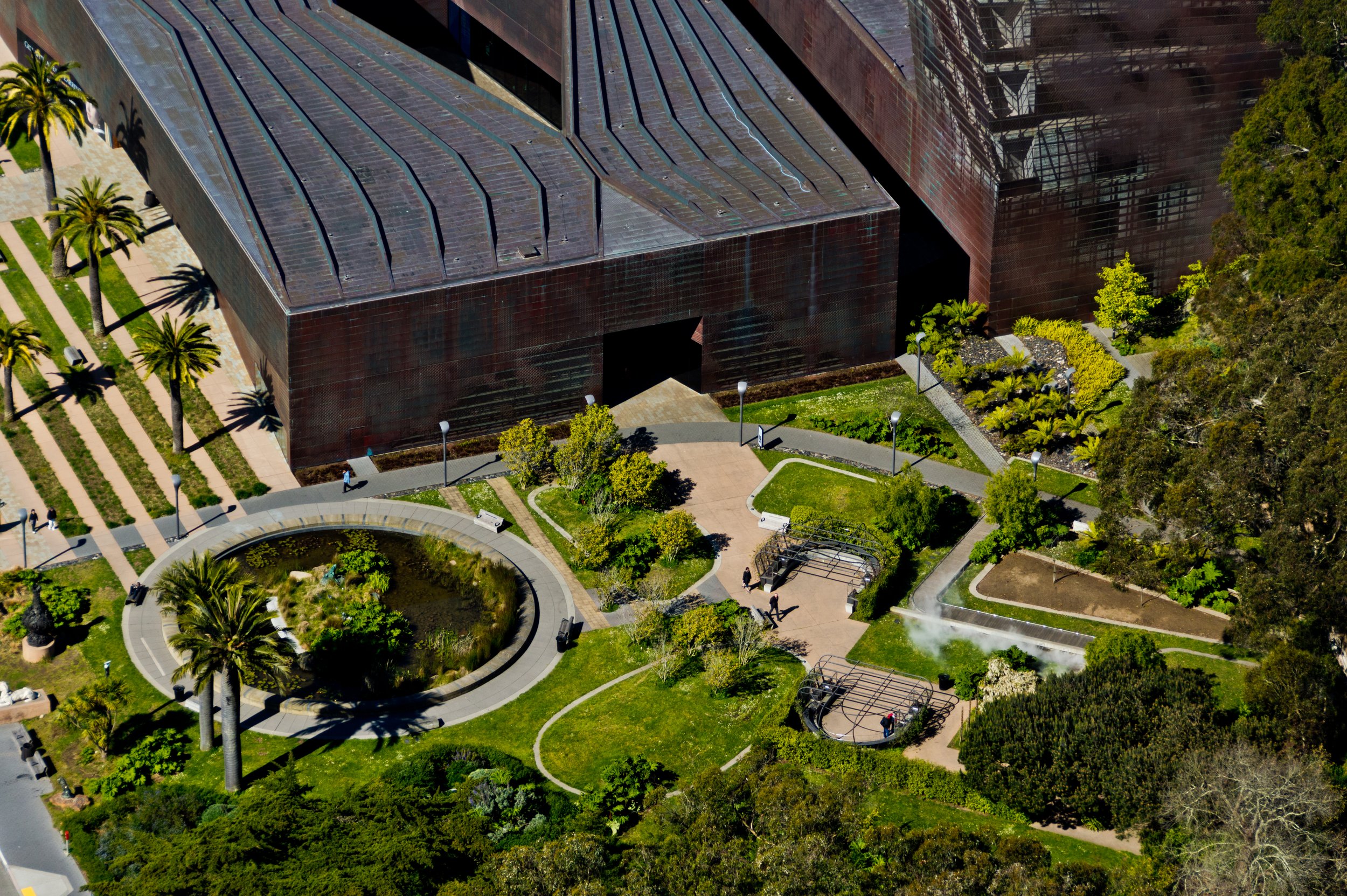  DE YOUNG MUSEUM GARDENS  SAN FRANCISCO, CA  