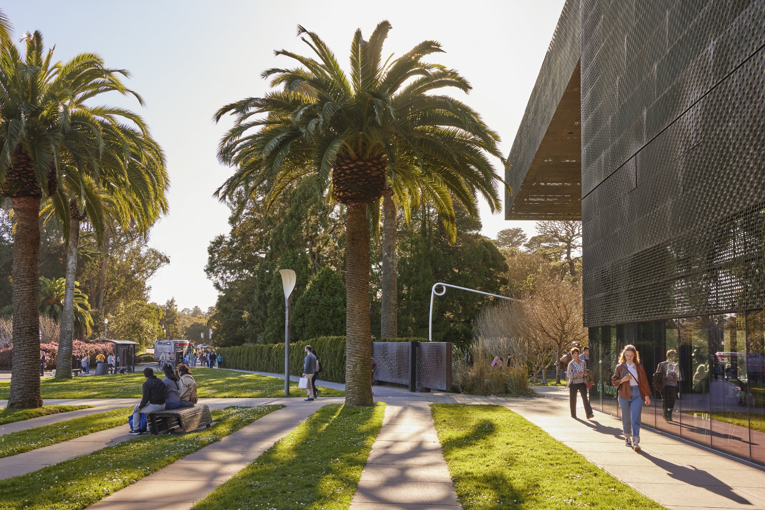  DE YOUNG MUSEUM GARDENS  SAN FRANCISCO, CA  