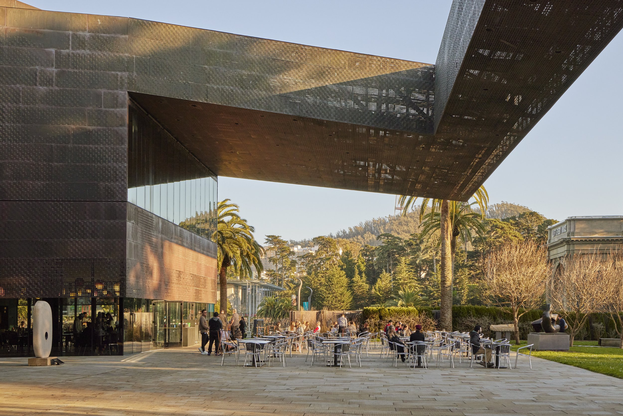  DE YOUNG MUSEUM GARDENS  SAN FRANCISCO, CA  