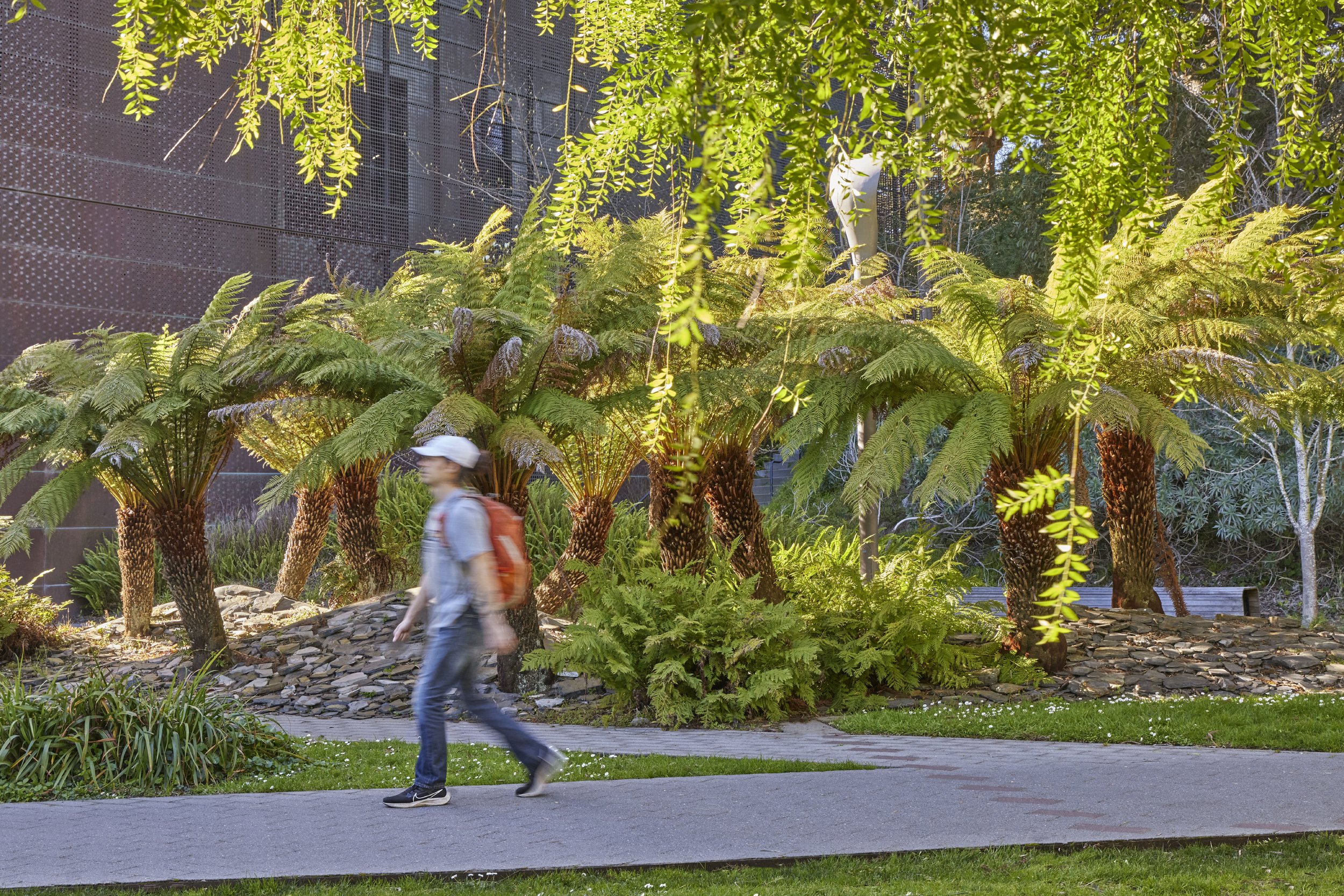  DE YOUNG MUSEUM GARDENS  SAN FRANCISCO, CA  