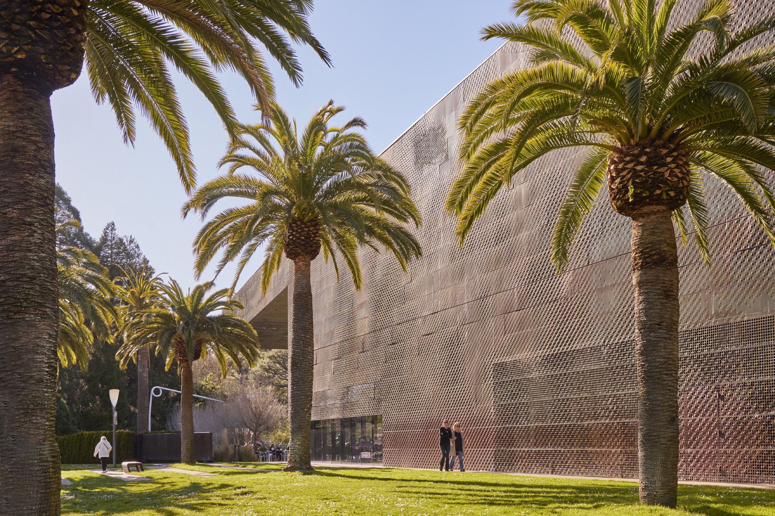  DE YOUNG MUSEUM GARDENS  SAN FRANCISCO, CA  