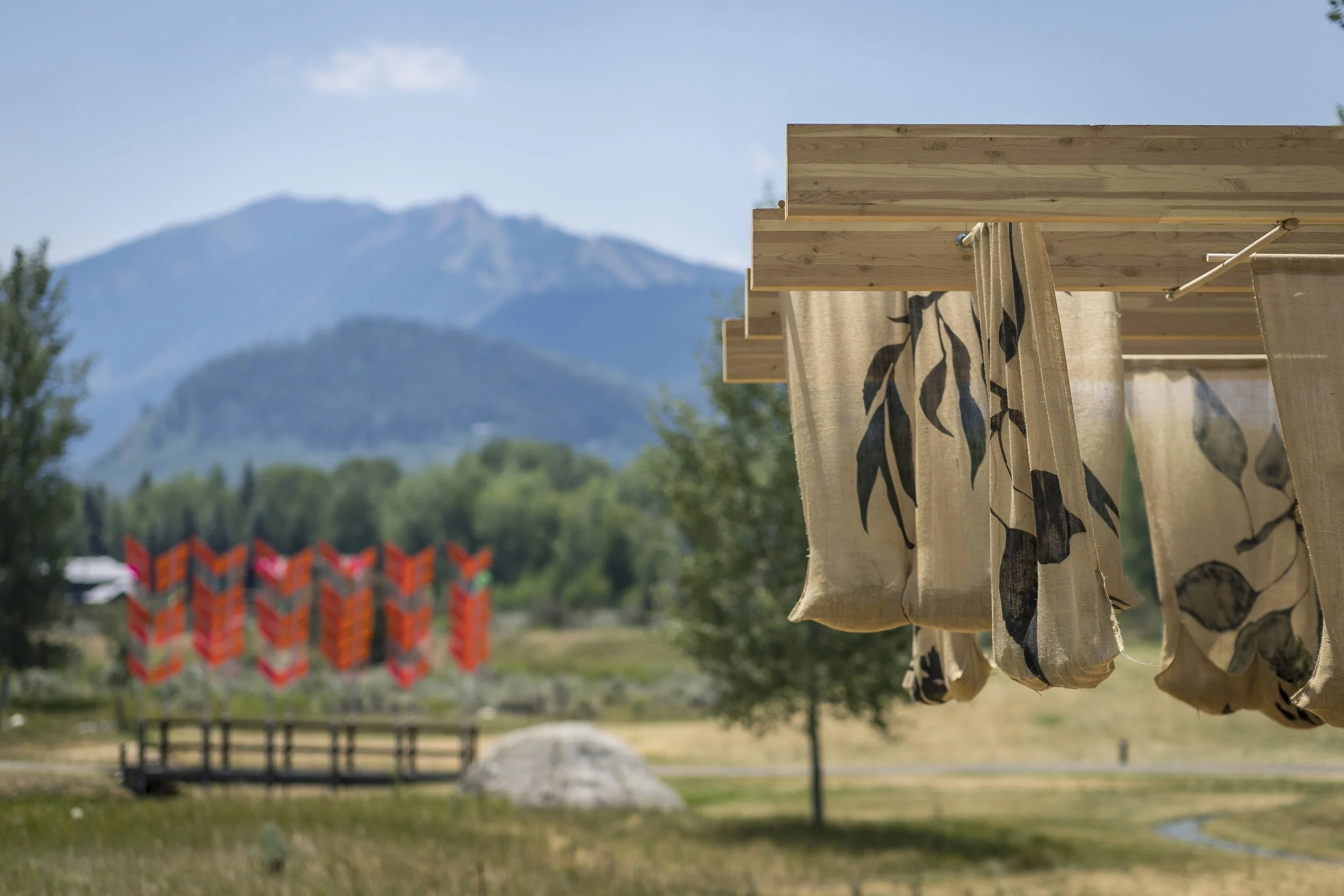 20260701_tko8094_campus_55370073105_o.jpg