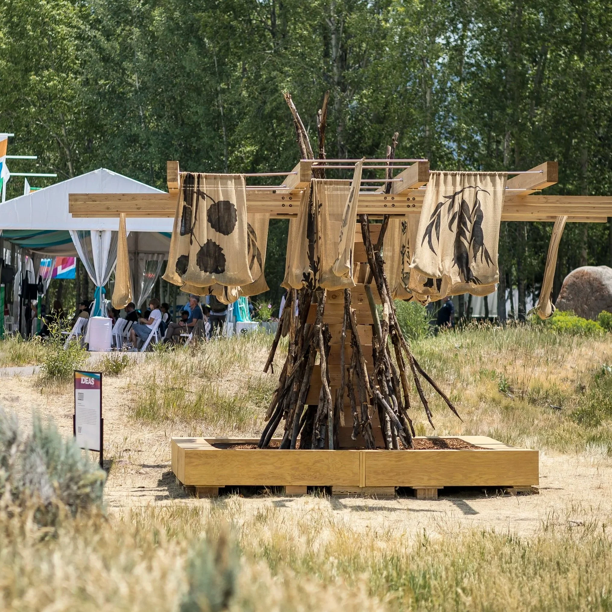 <strong> Native(s)</strong> Aspen, CO