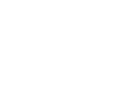 tesla.png