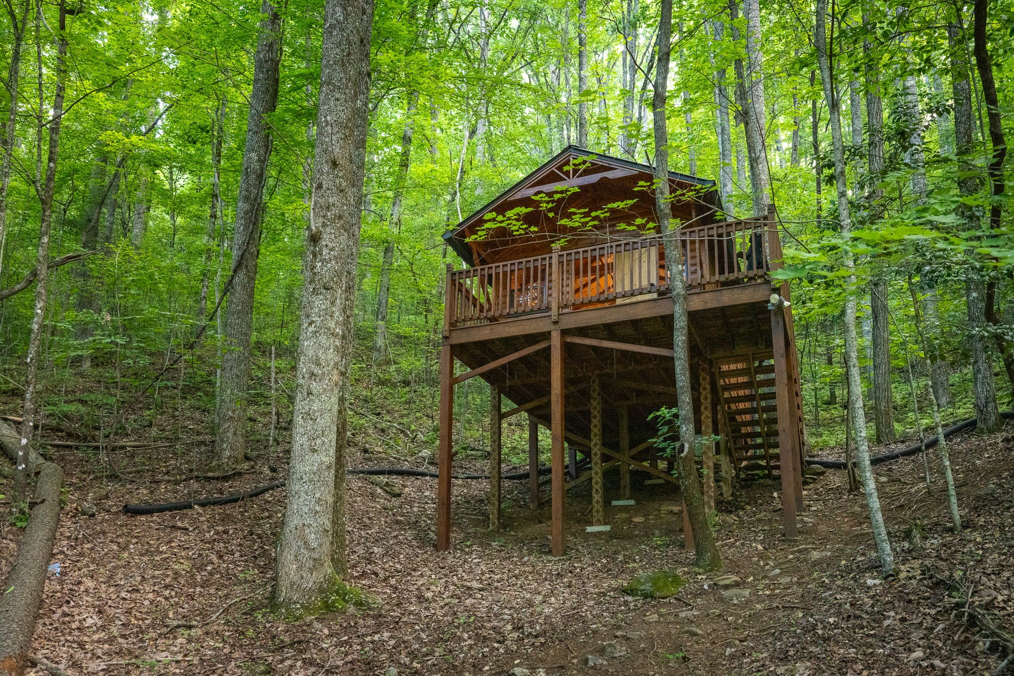 2-web-or-mls-20240620_384mtnhighlands_mac007.jpg