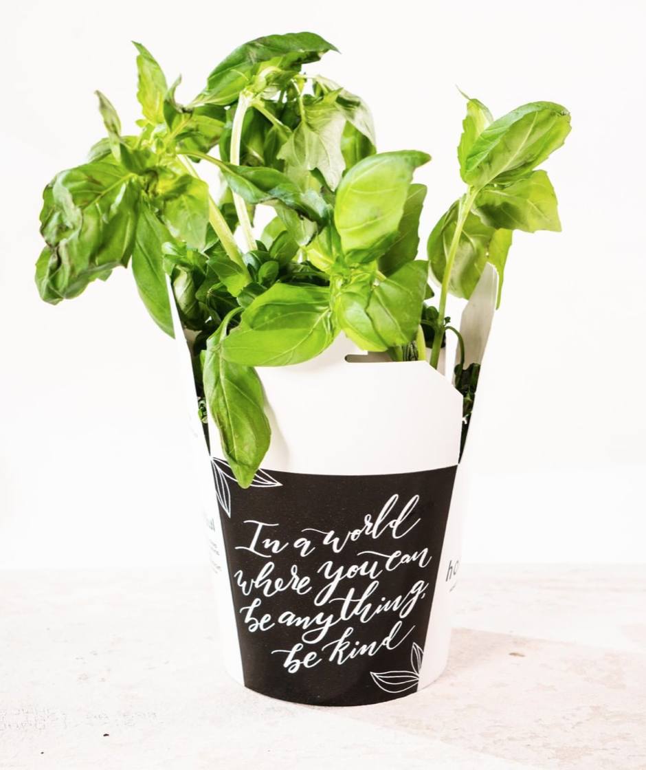 Honeygrow’s cute, feel good packaging gets new life as a planter post lunch!