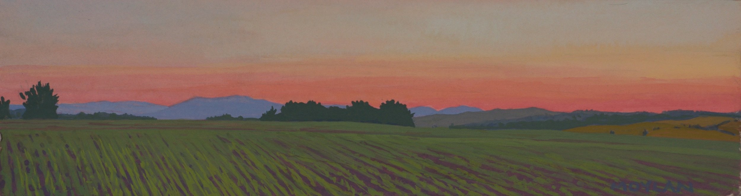 Pink Sunrise