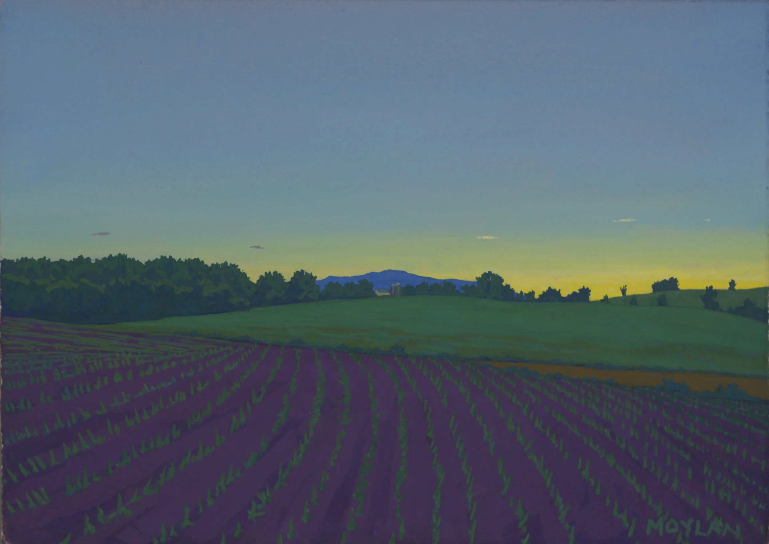 July Sunrise