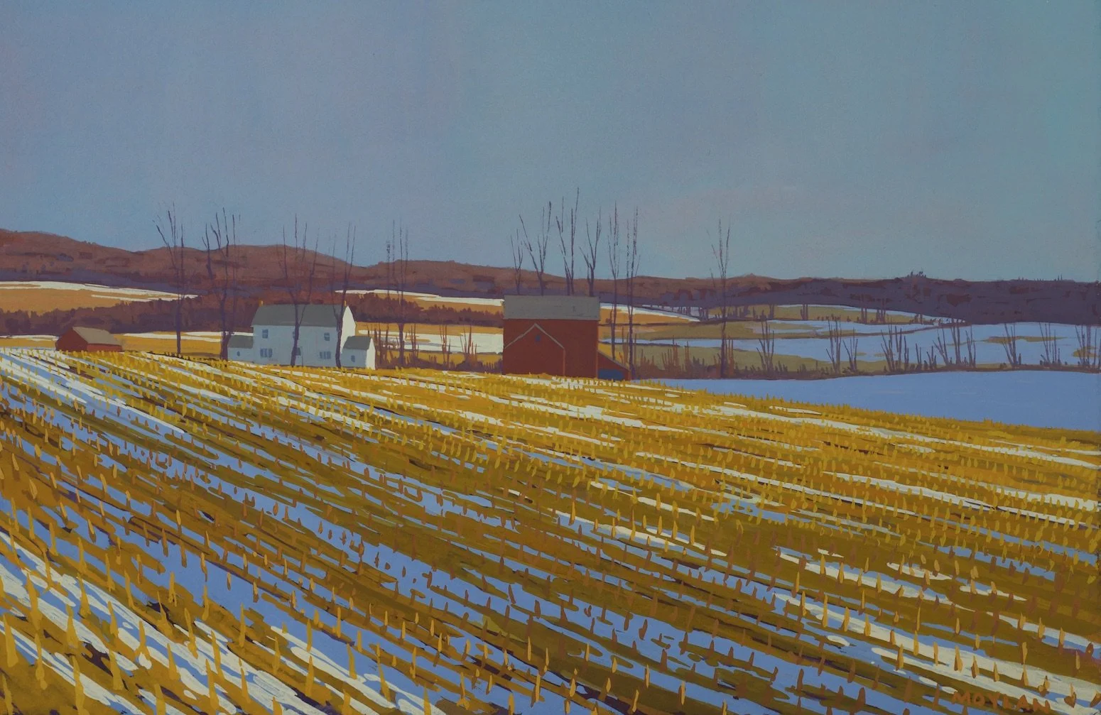 15. Morning Light .jpg
