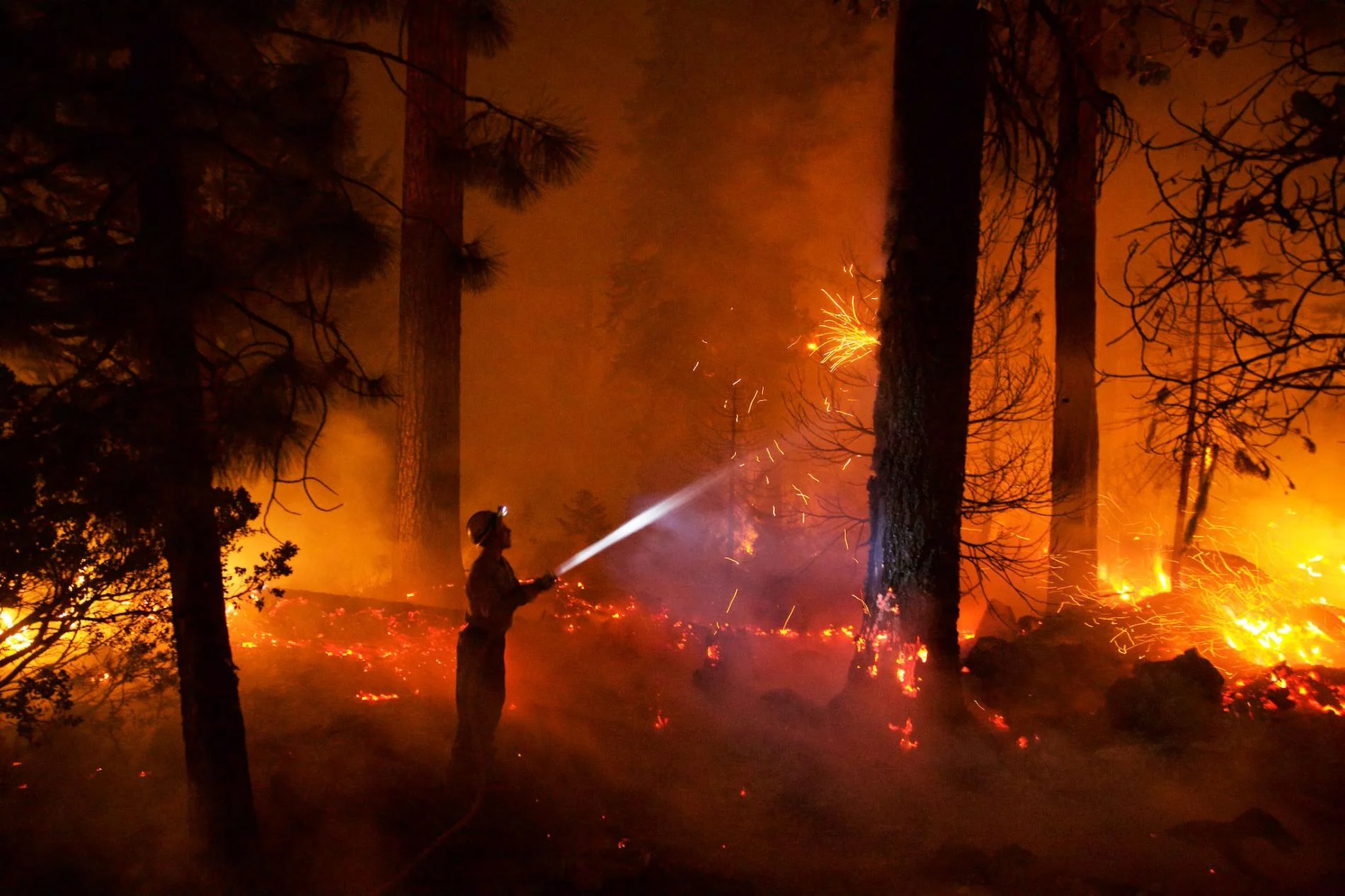 How Fire, Once a Friend of Forests, Became a Destroyer