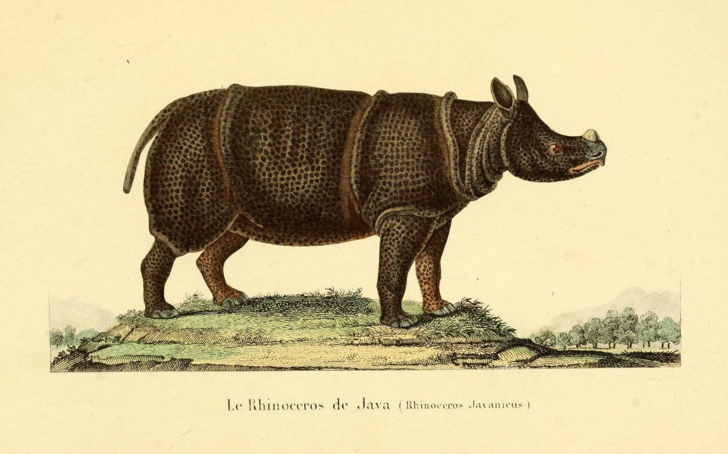 The Opposite of Extinction