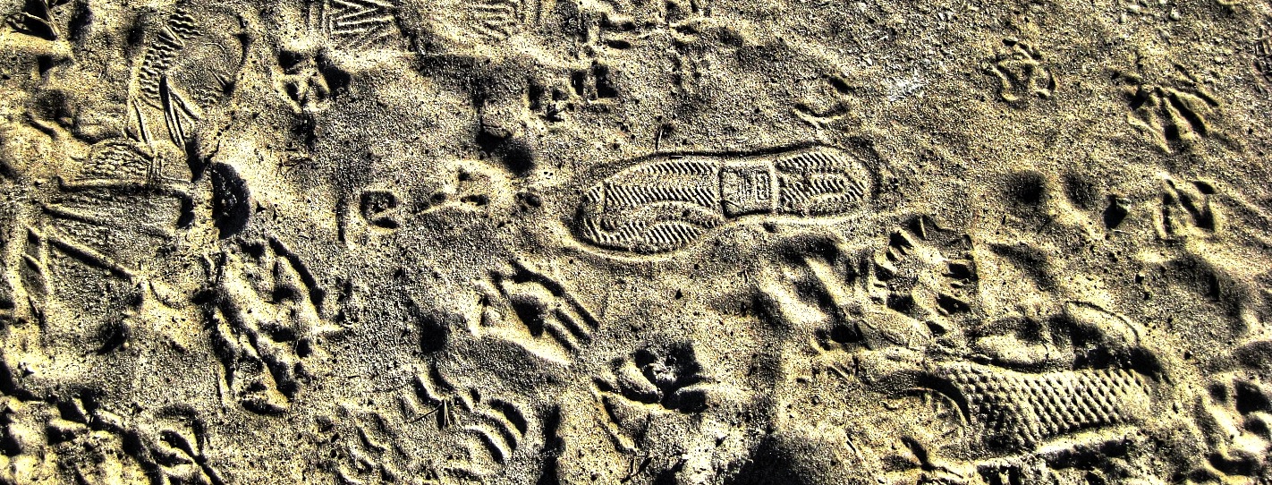 Science Metaphors (cont.): The Anthropocene