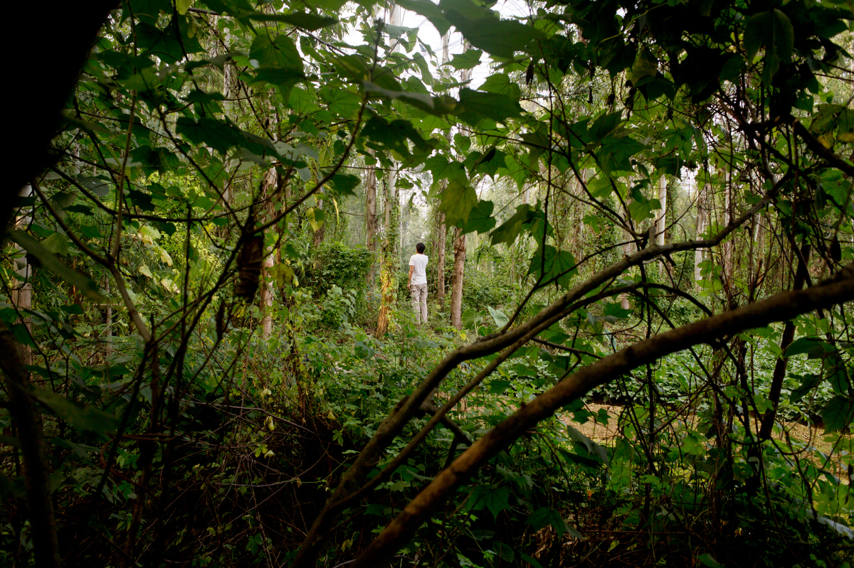 Bridging the Conservation Divide