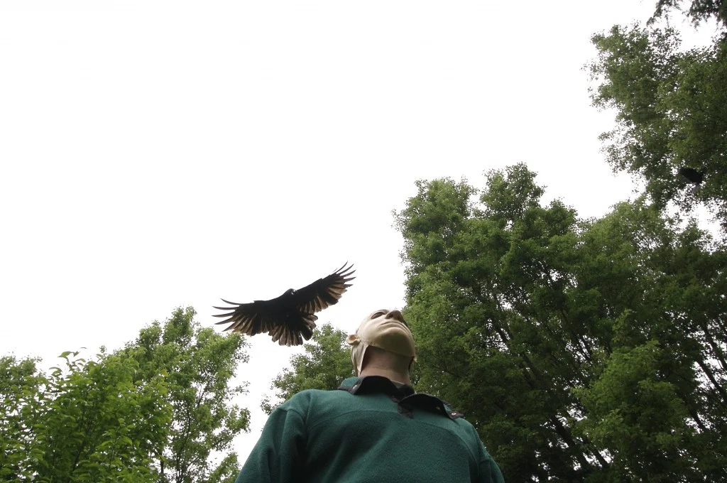 The Crow Knows Your Nose