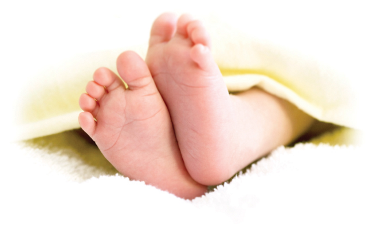 A Tenderfoot in Taos