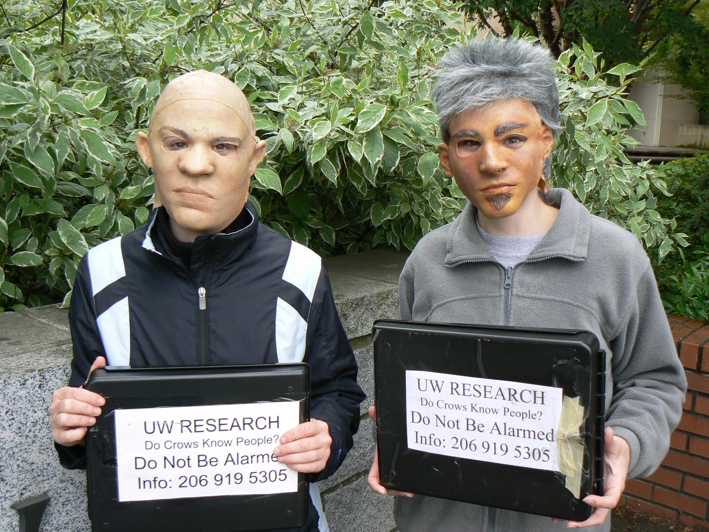 Friend or Foe? Crows Never Forget a Face, it Seems