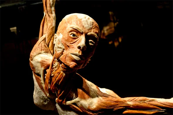 Between the Body and the World