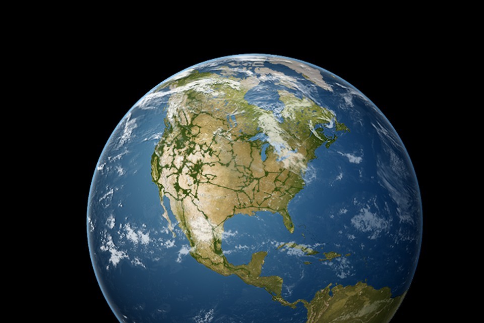 Tiny Pollinators Need Wildlife Corridors Too