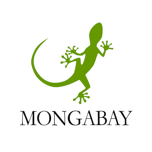Mongabay's 10 Notable Conservation Books of 2021