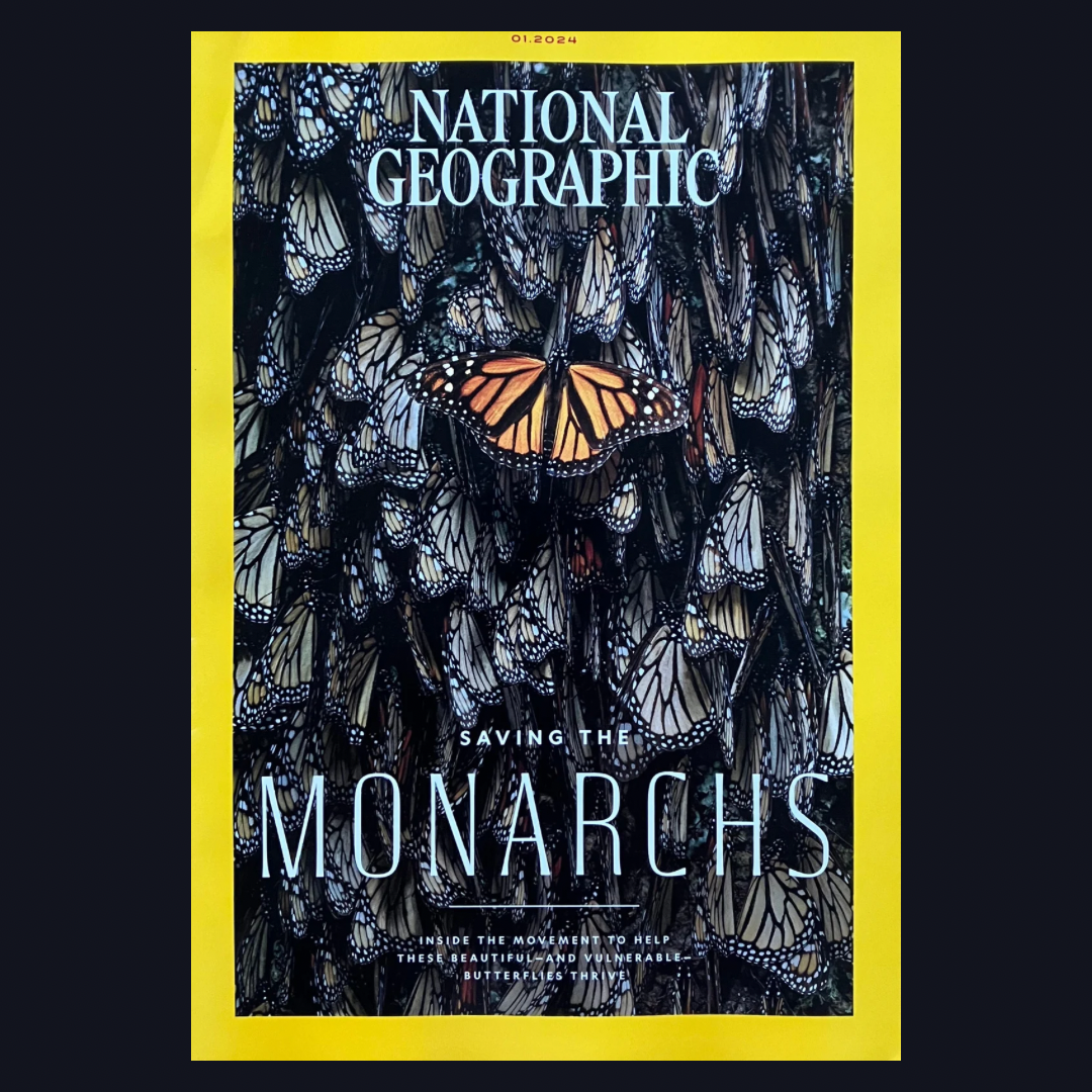 Saving the Monarchs