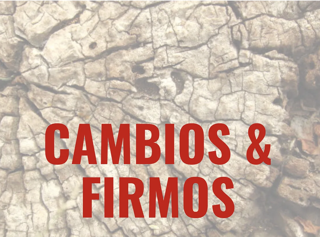 Words We Need: Cambios &amp; Firmos