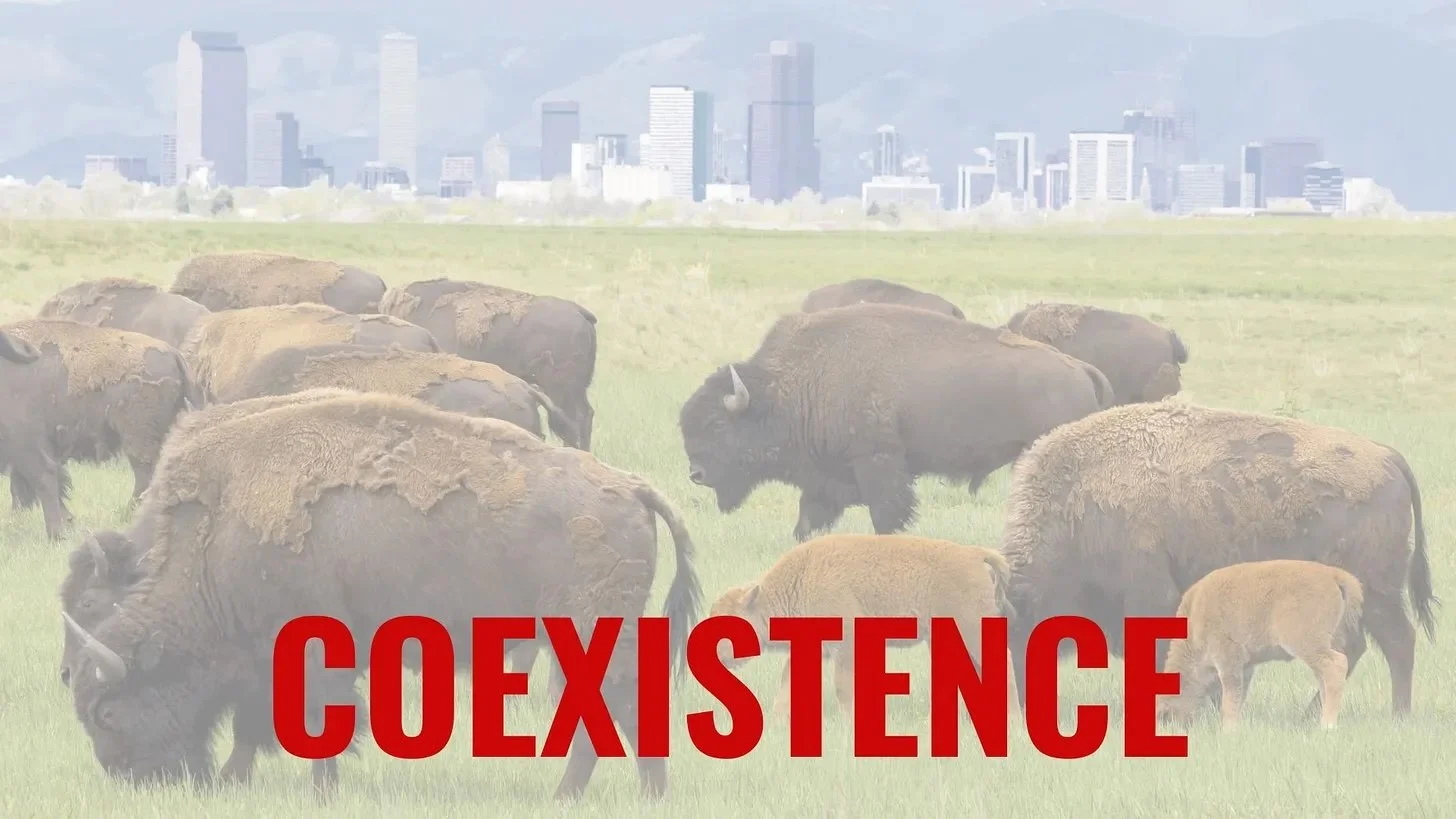 Words We Need: Coexistence