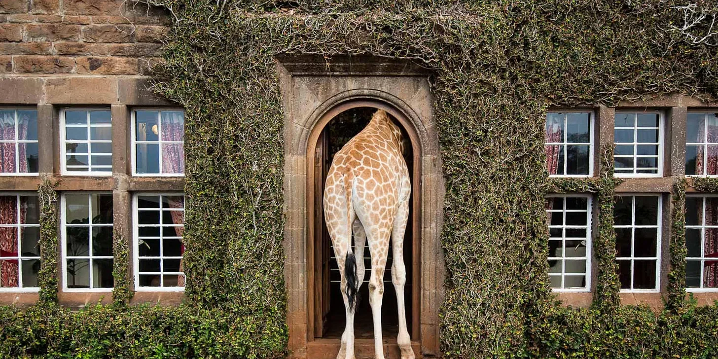 No, the Endangered Species Act Is Not "Hotel California"