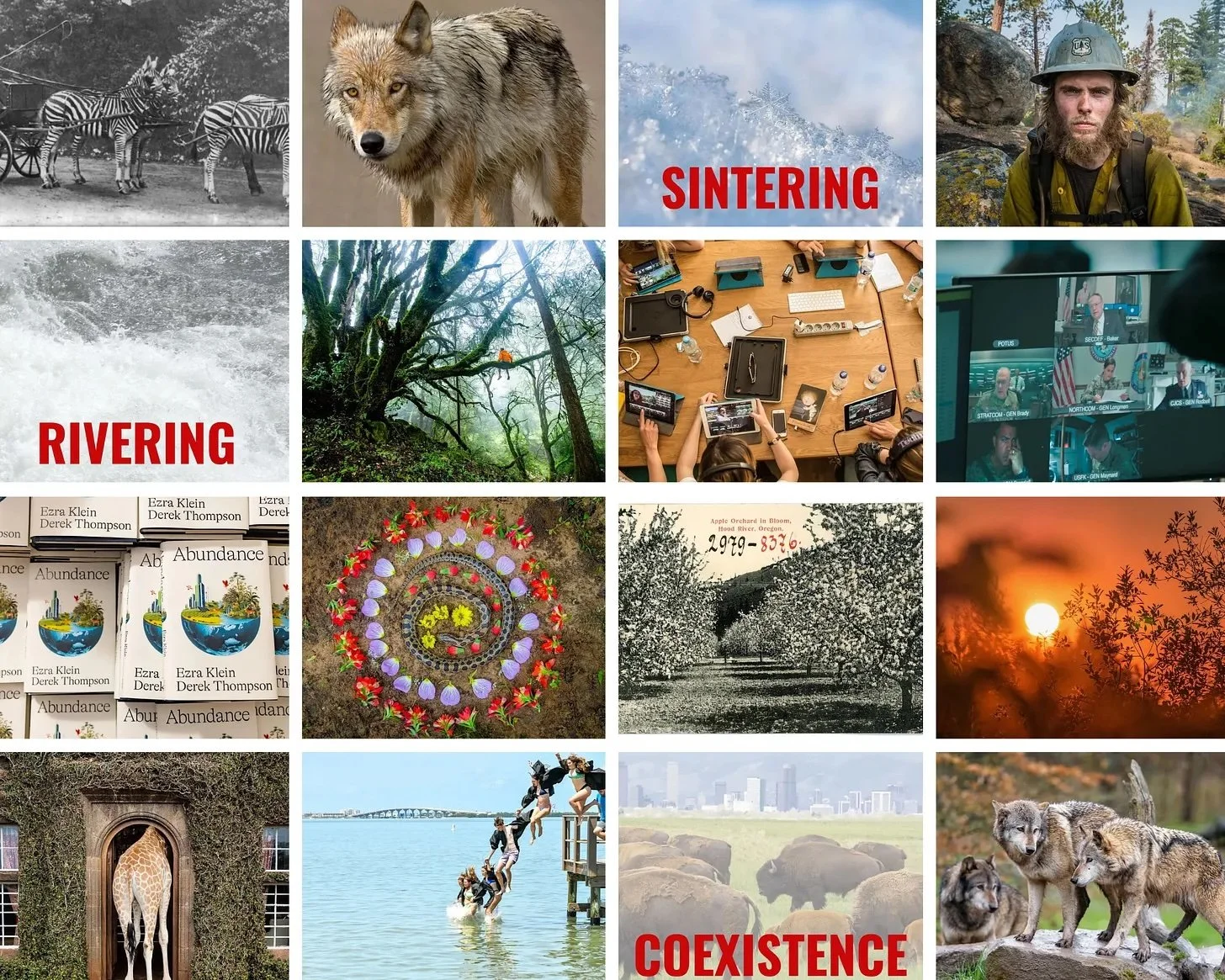 How Conservation Worked in 2025