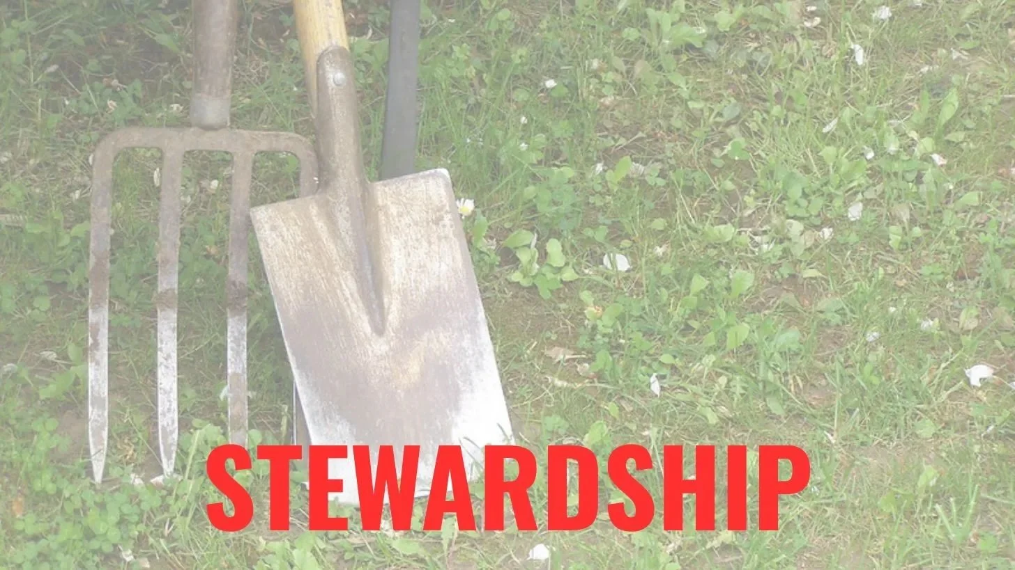 Words We Need: Stewardship