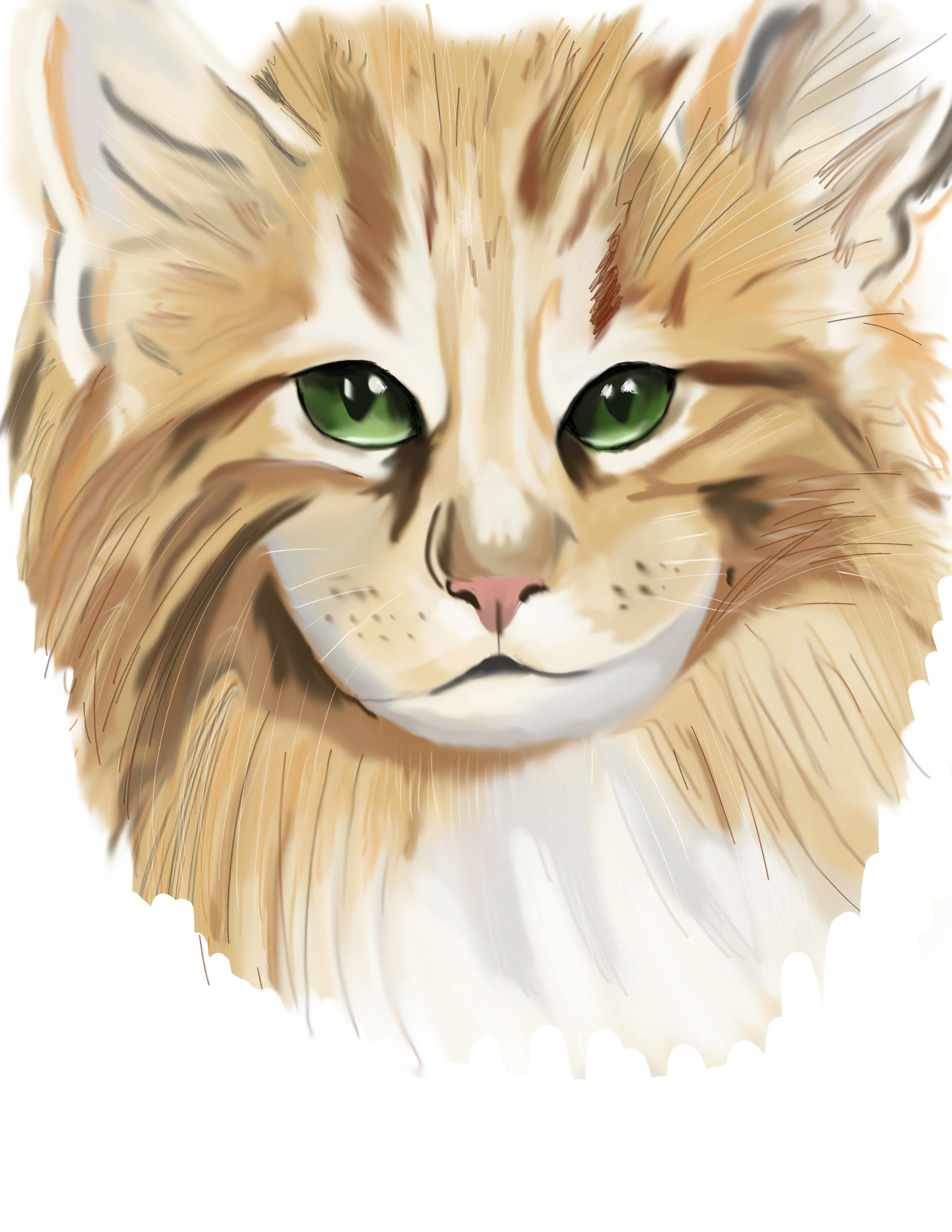 catface.jpg