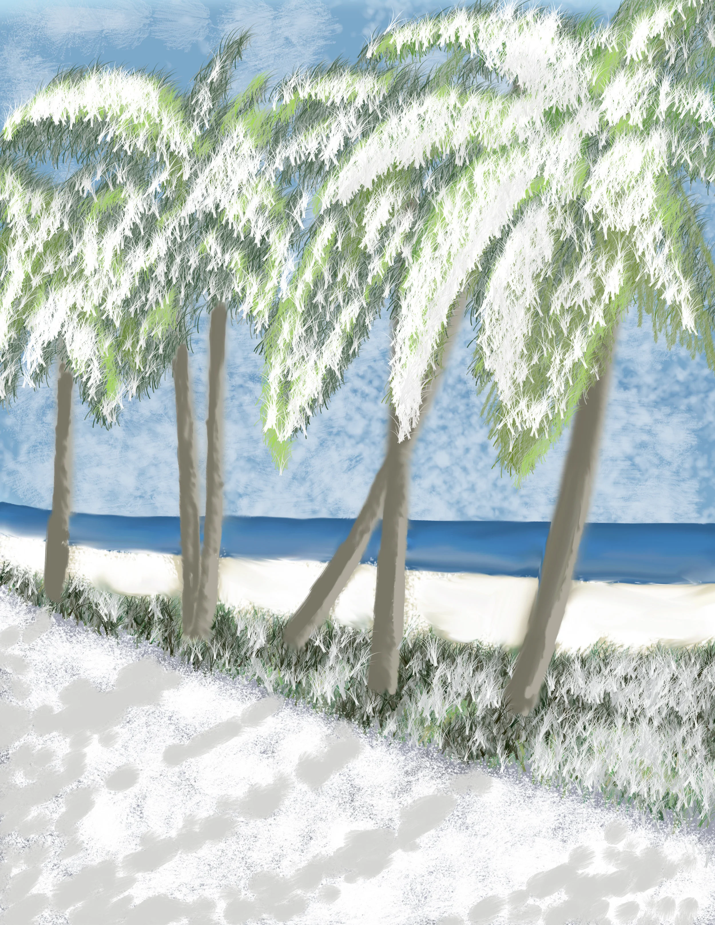 beachsetting_withsnow copy 2.jpg