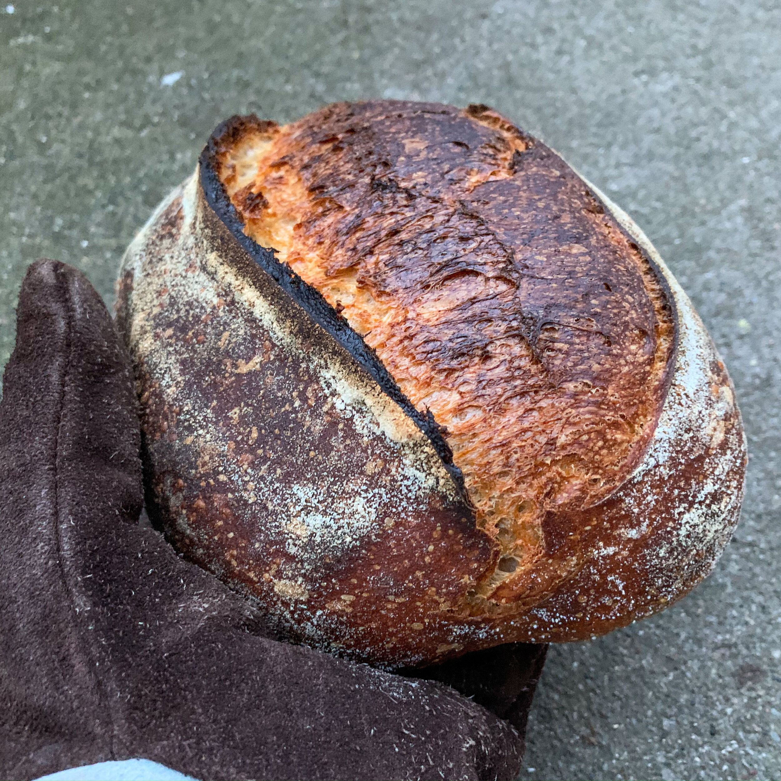 Hvedebrød - opdateret udgave
