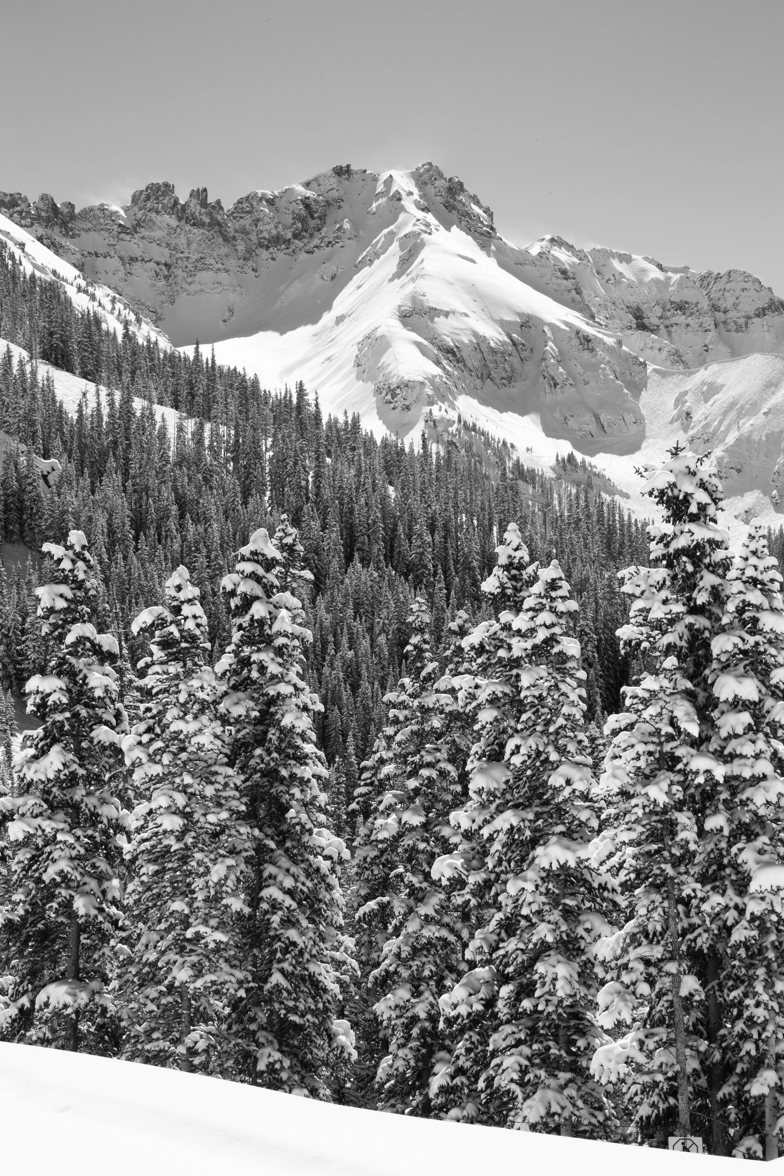 _13A3527bw.jpg