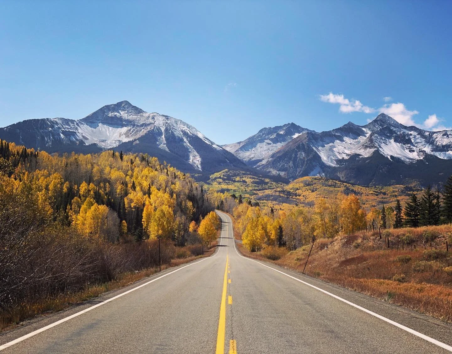 The leaves changed, the snow fell and suddenly fall was gone... 🍃🍂❄️
I was so excited to get outside and take photos after the first snow dusted the peaks this season! Forever grateful to be here - every season, every day🏔✨ #telluride #tellurideco