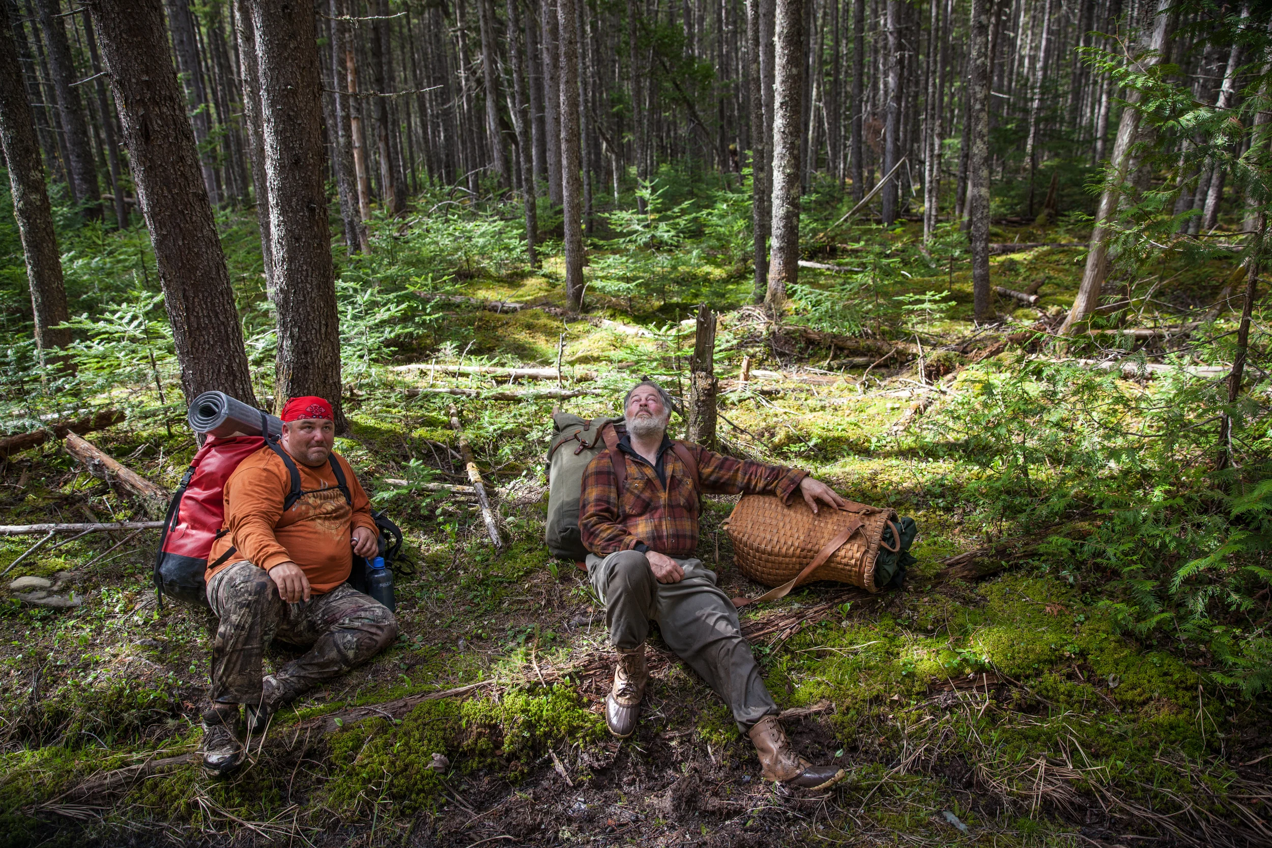LOG_Website_OCT2015_Projects_ThoreausMaineWoods_017.jpg