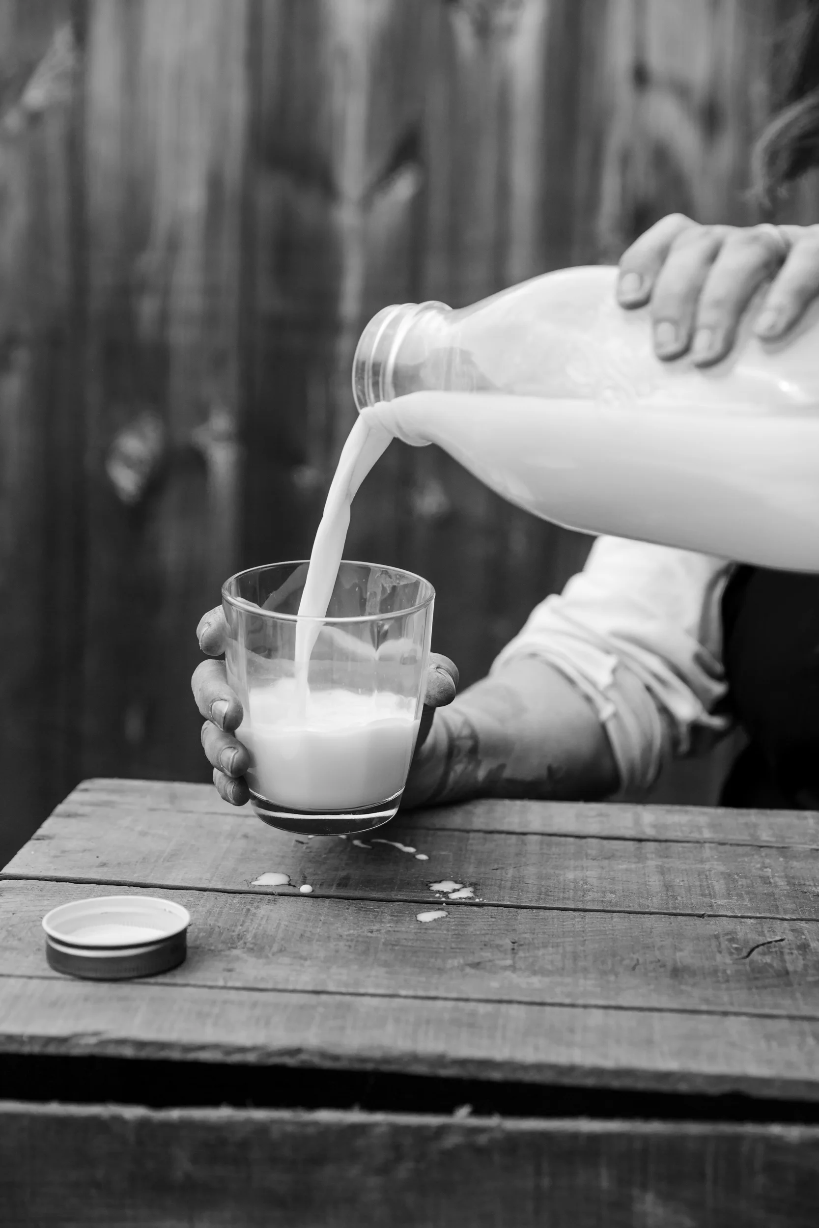 LOG_Website2016_EdibleBoston_015.jpg