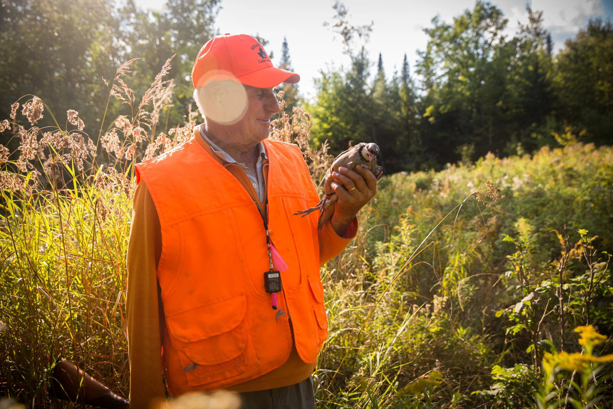 LOG_Website_OCT2015_TheStateofMaine_009.jpg
