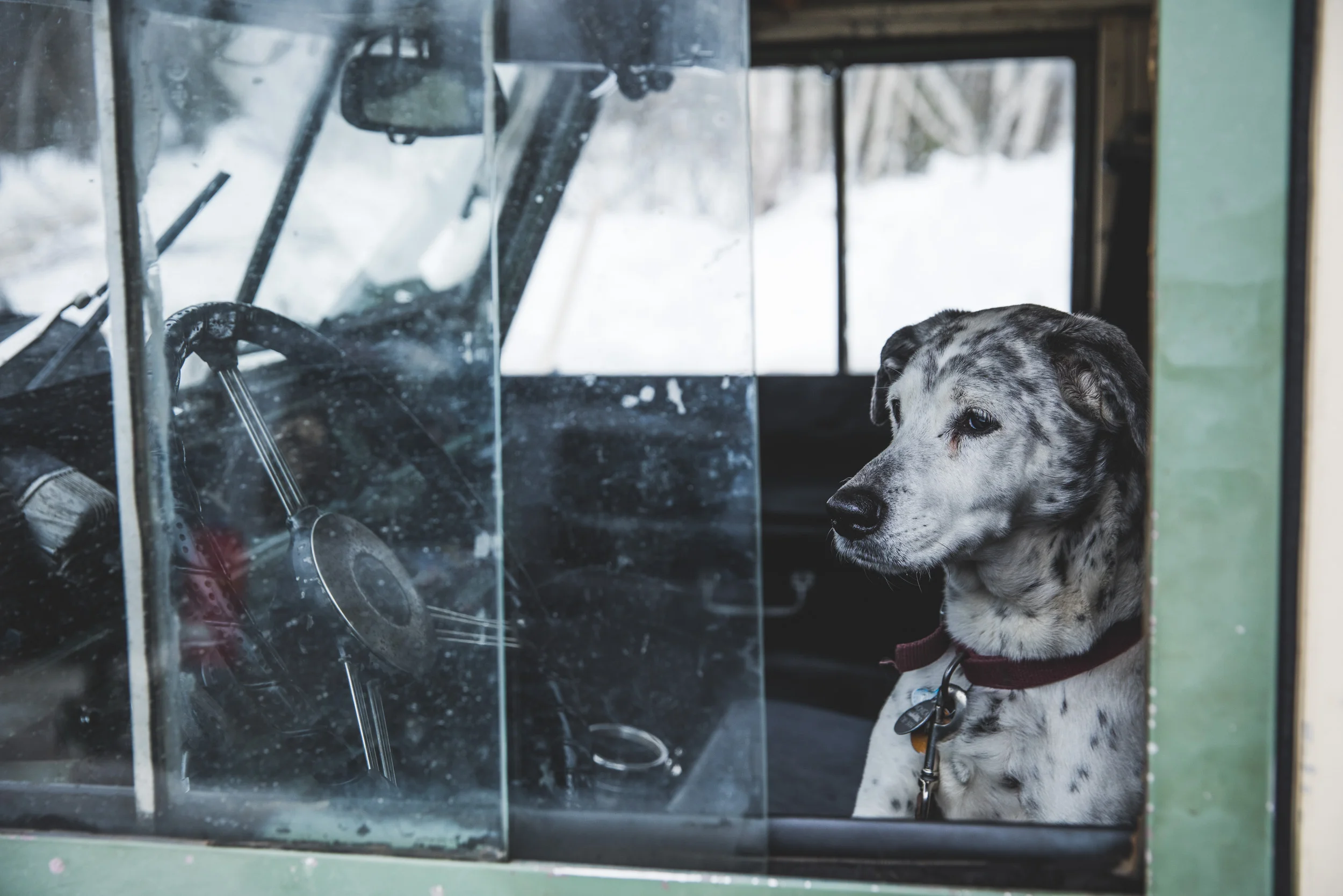 LOG_Website_LandRover2017_WinterRomp_020.jpg