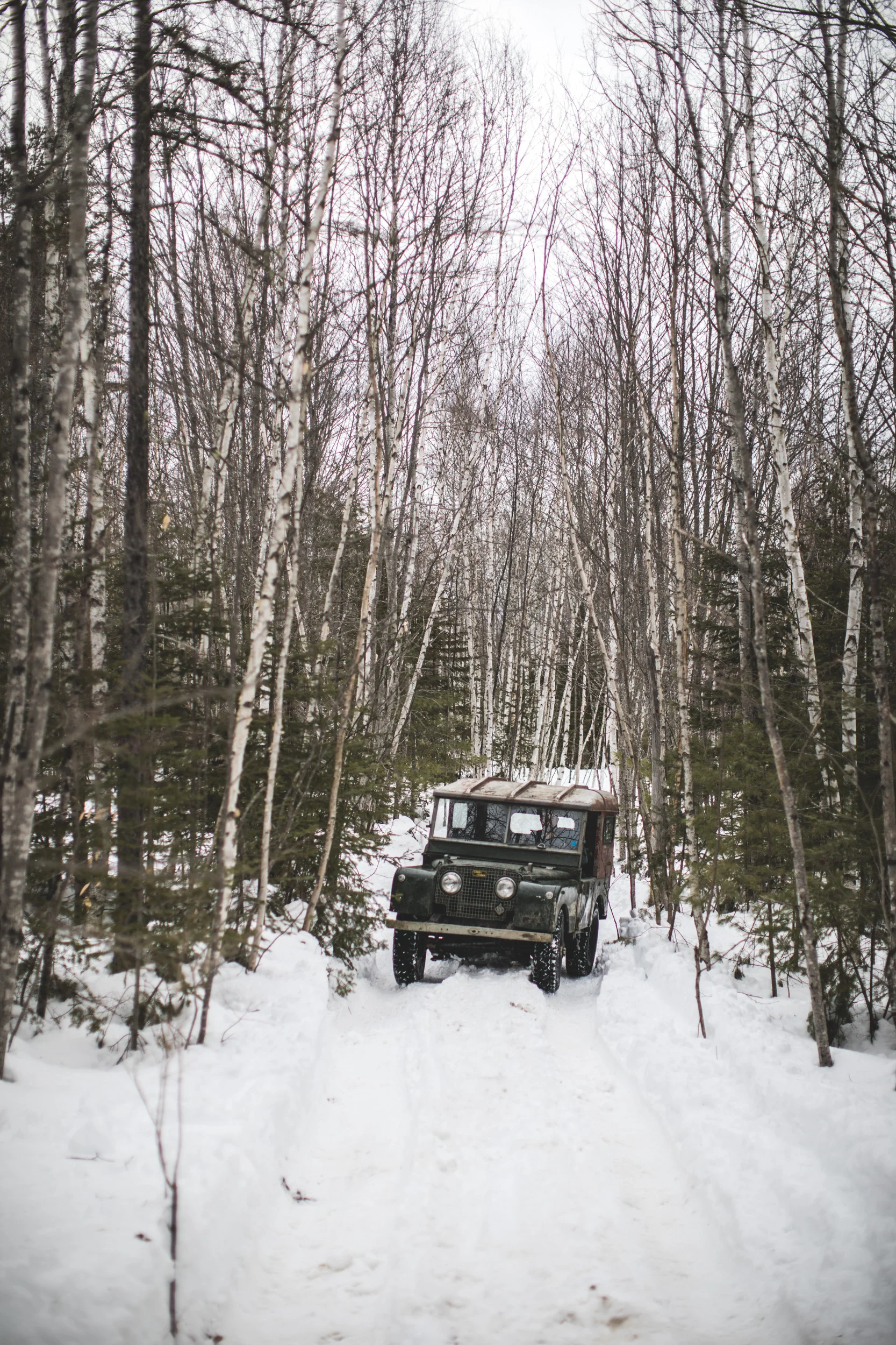 LOG_Website_LandRover2017_WinterRomp_022.jpg