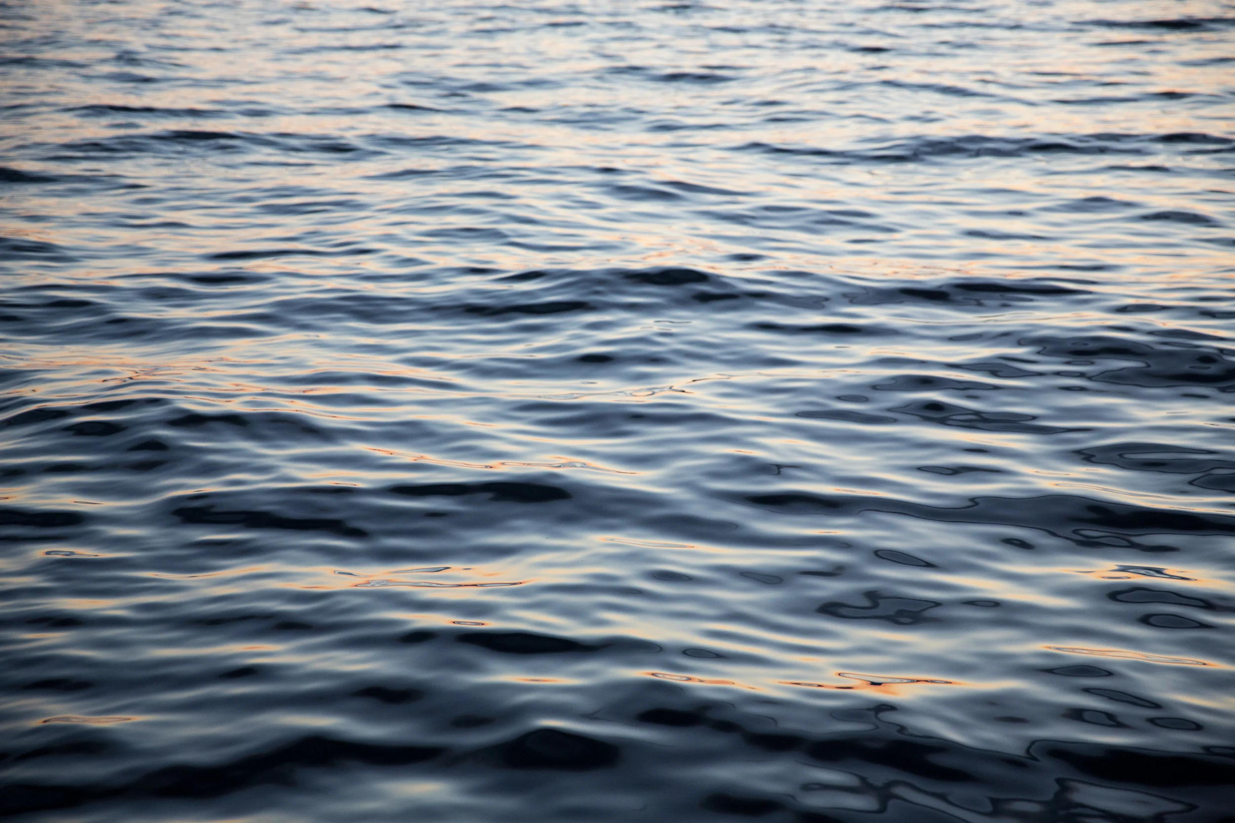 LOG_YankeeHouseBoat_Website_034.jpg