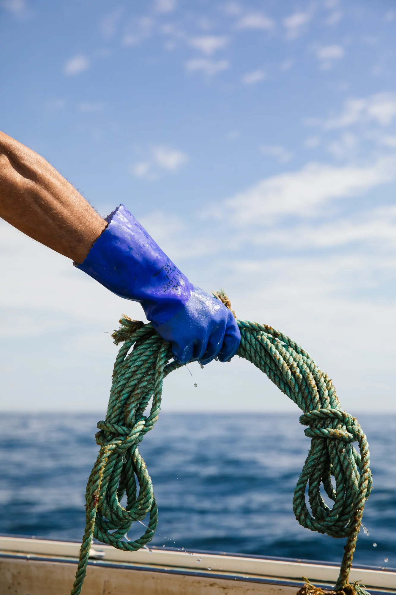 LOG_2017_Lobstering_Maine_LowResWeb_005.jpg