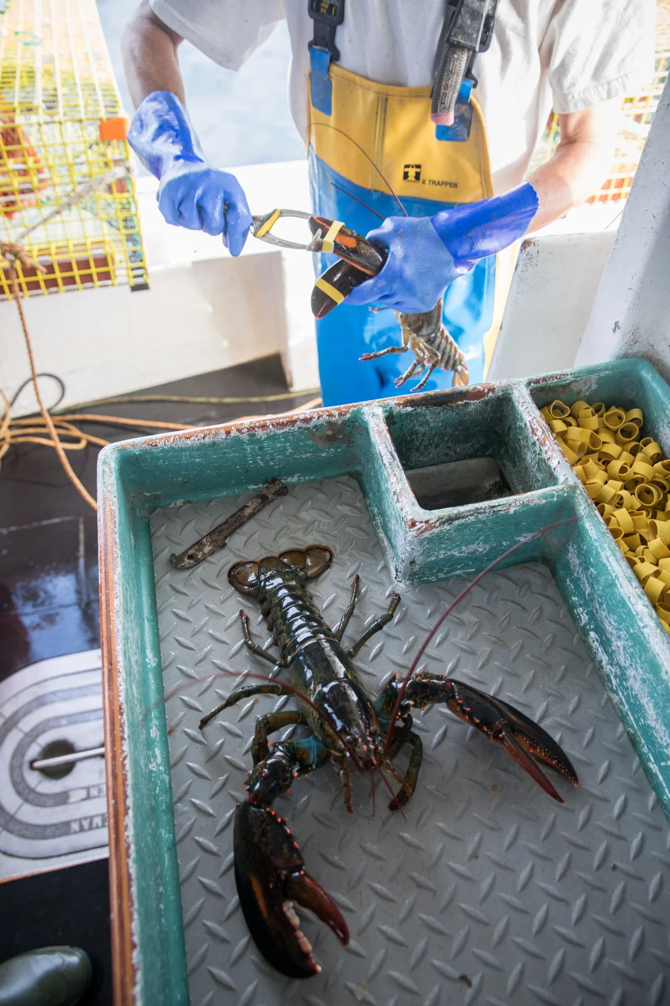 LOG_2017_Lobstering_Maine_LowResWeb_014.jpg
