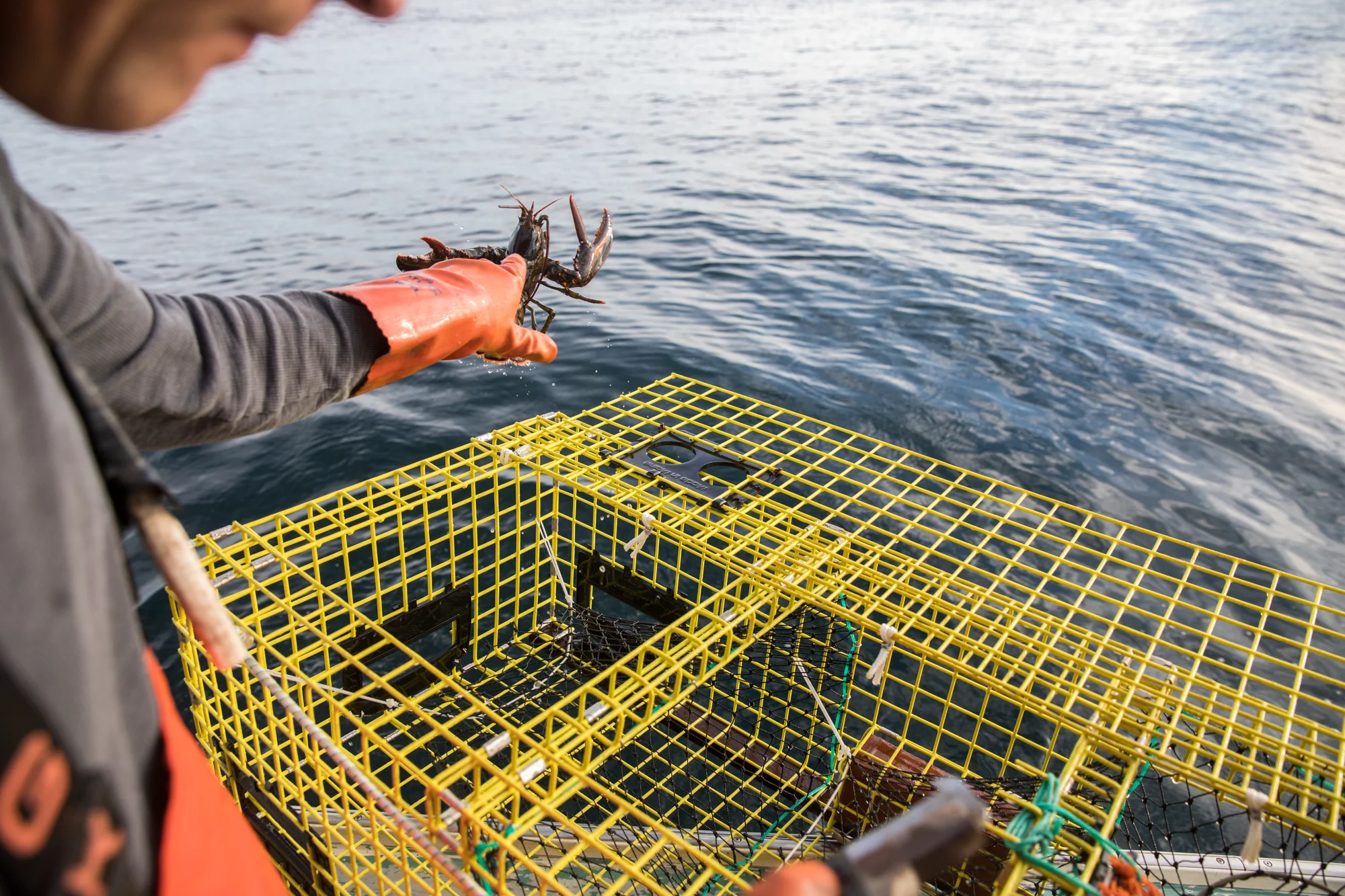LOG_2017_Lobstering_Maine_LowResWeb_015.jpg