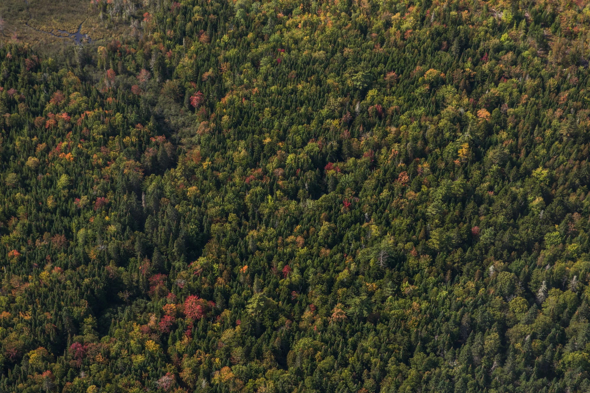 LOG_MaineMountain_WebSiteGallery_FEB2018_002.jpg