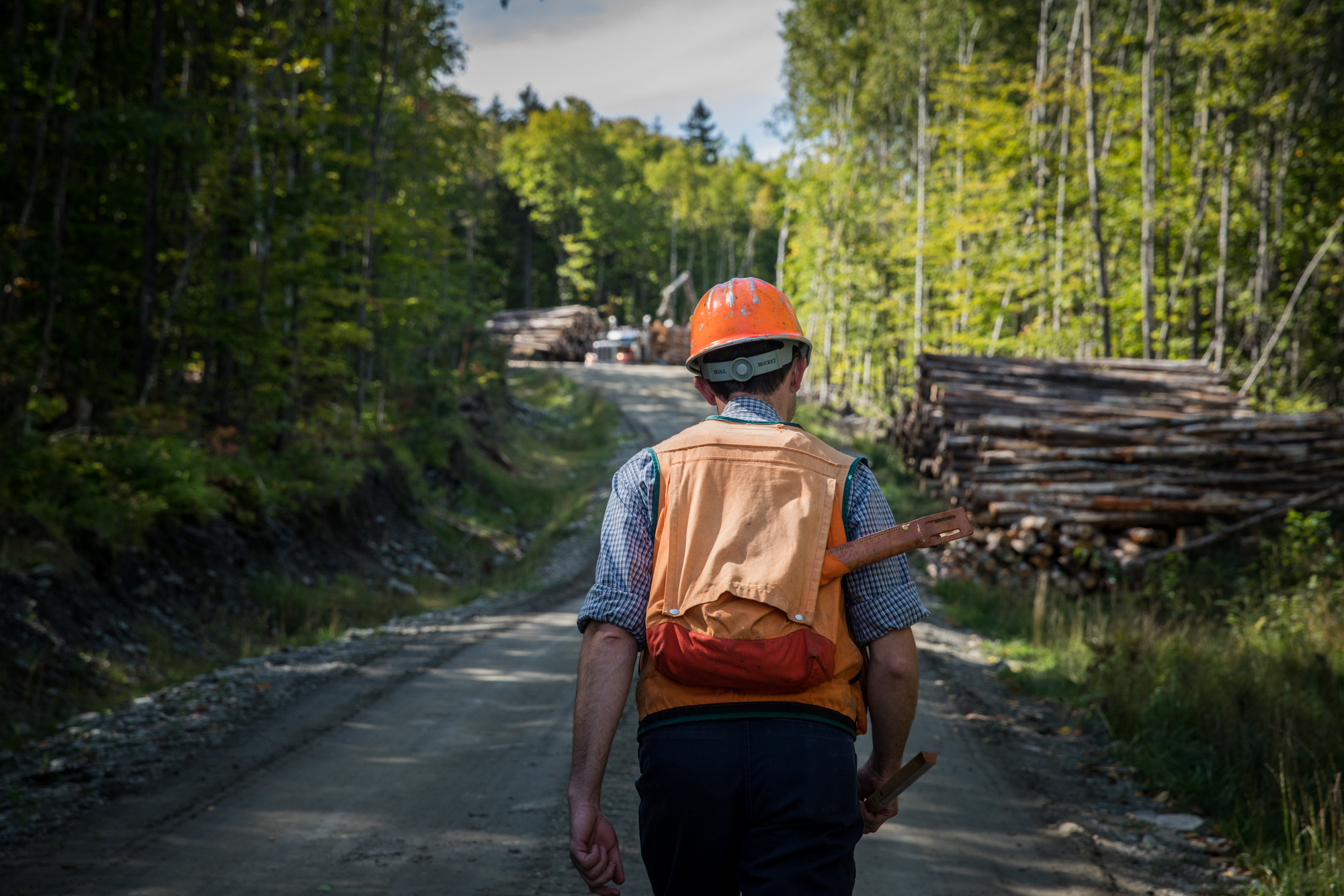 LOG_MaineMountain_WebSiteGallery_FEB2018_019.jpg