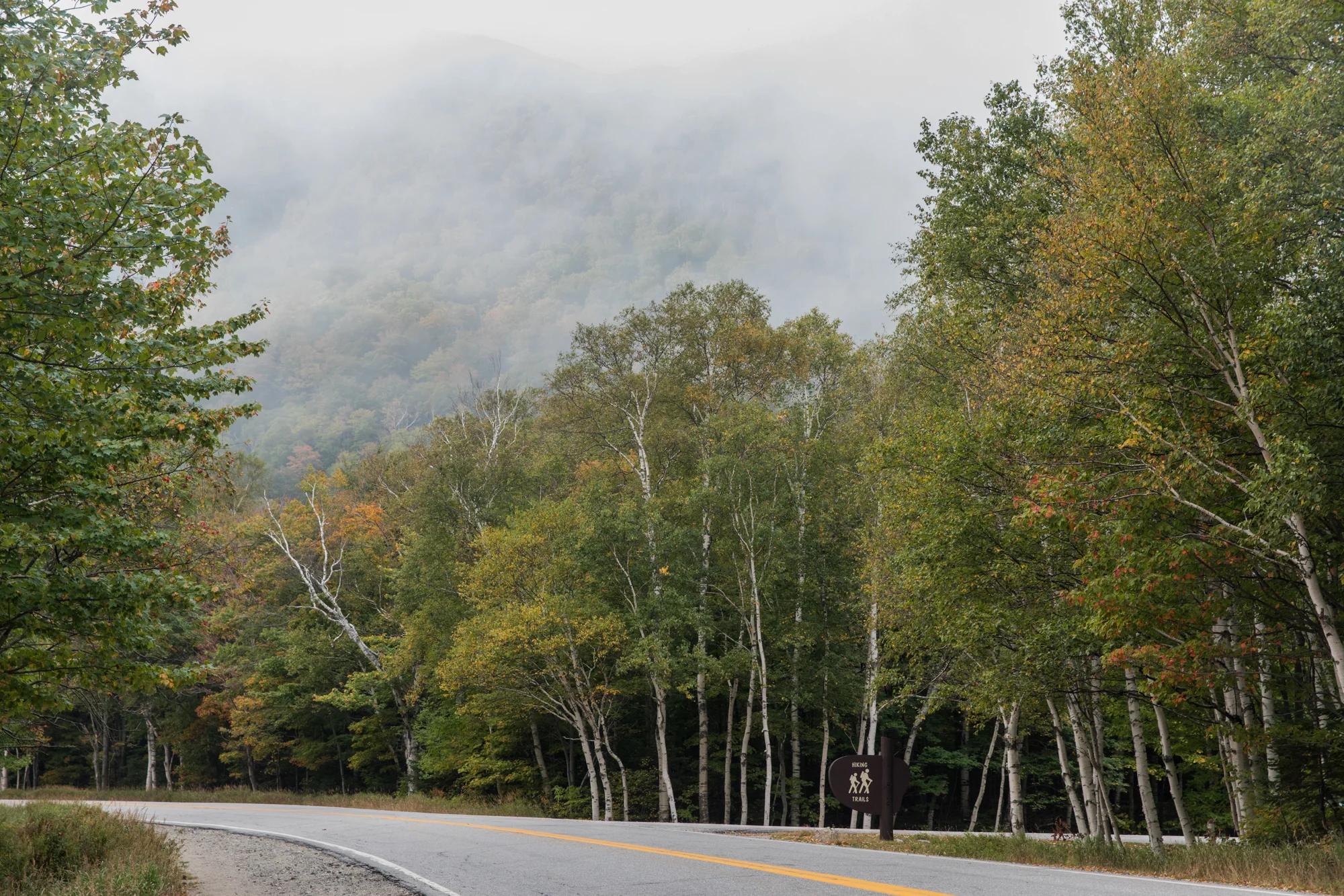 LOG_MaineMountain_WebSiteGallery_FEB2018_022.jpg